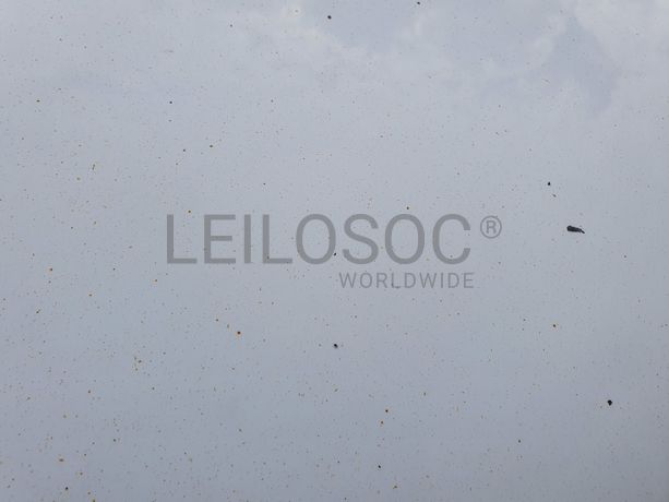 Ford Focus C-Max  · Ano 2014