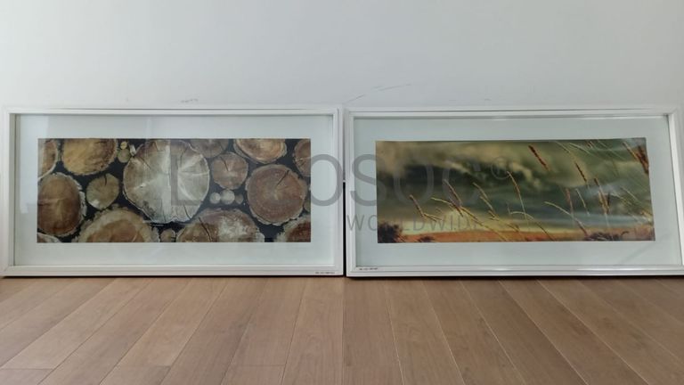 Quadros decorativos.