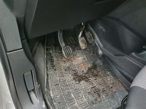 Citroën Berlingo · Ano 2019