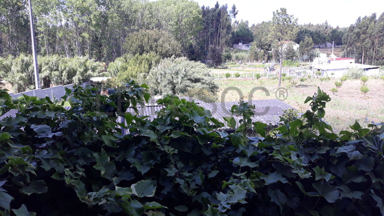 Apartamento T3 · Marinha Grande