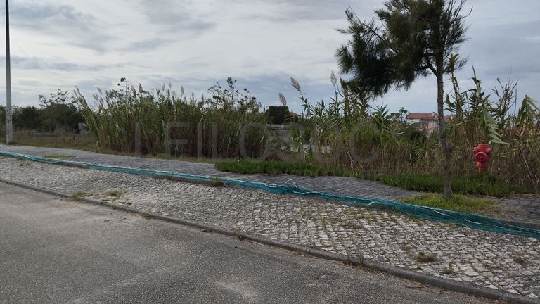 Lote para Construção · Praia do Pedrógão, Leiria