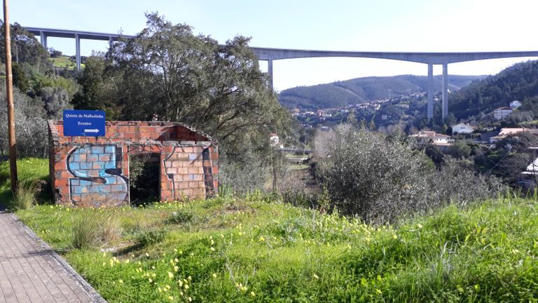 Lote para Construção · Coimbra