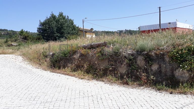 Terreno · Castro Daire, Viseu