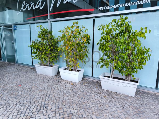 Equipamentos de Hotelaria