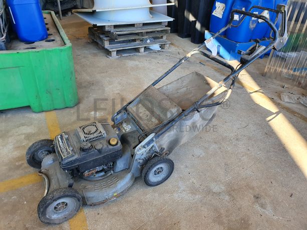 Máquina de Cortar Relva