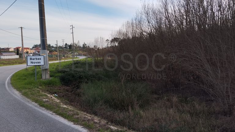 LIQUIDAÇÃO DE FUNDO | TERRENO
