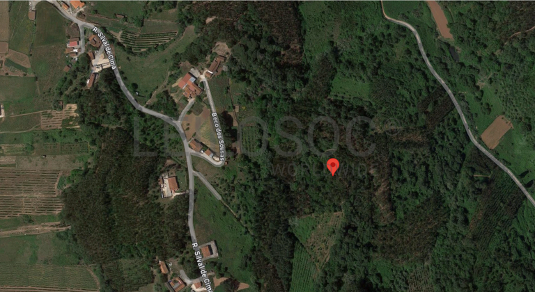 Terreno · Alcobaça