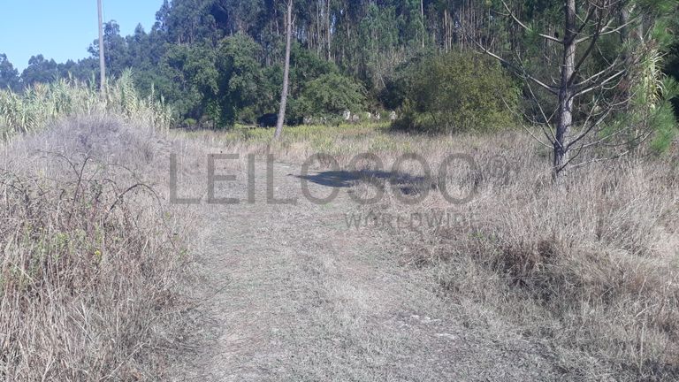 Terreno · Marinha Grande