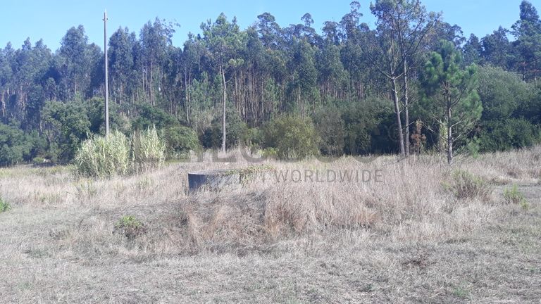 Terreno · Marinha Grande