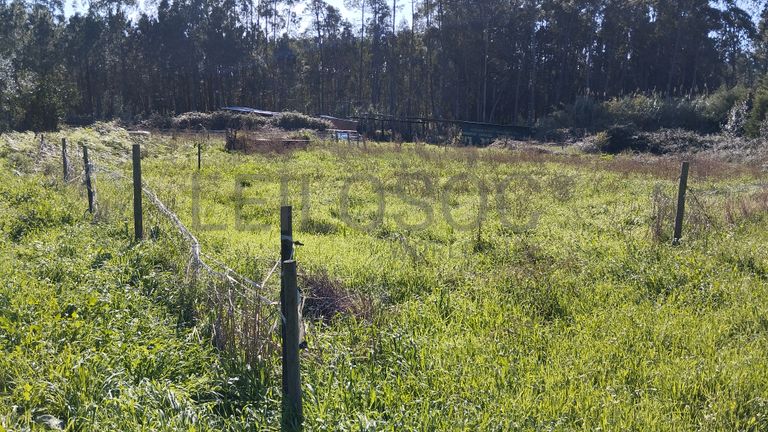 Terreno · Pombal