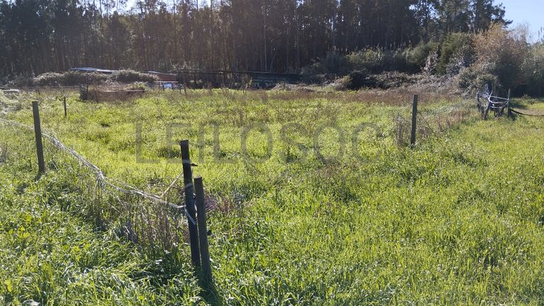Terreno · Pombal