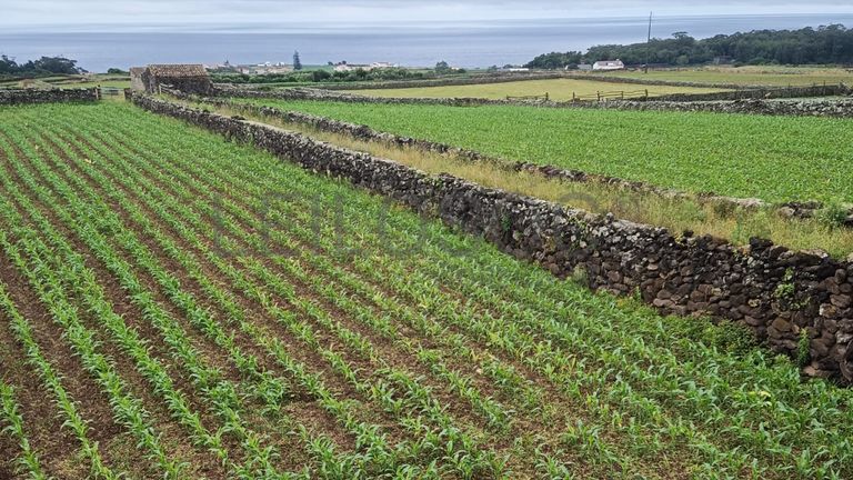 Lote para Construção + Terrenos · Angra do Heroismo, Arquipélago dos Açores