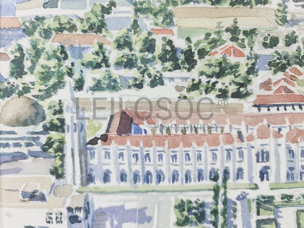 Aguarela · Paulo Violante