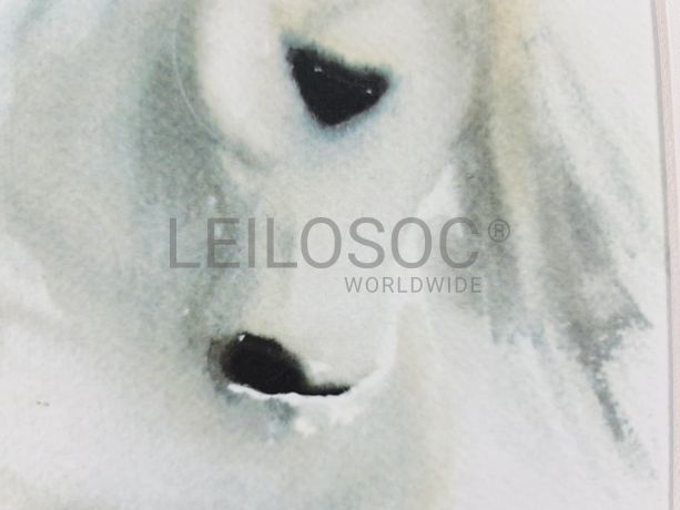 Aguarela · Paulo Violante