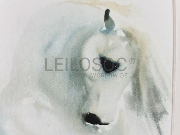 Aguarela · Paulo Violante