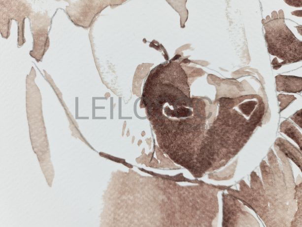 Aguarela · Paulo Violante