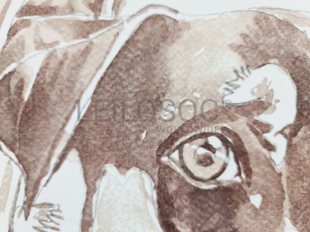 Aguarela · Paulo Violante