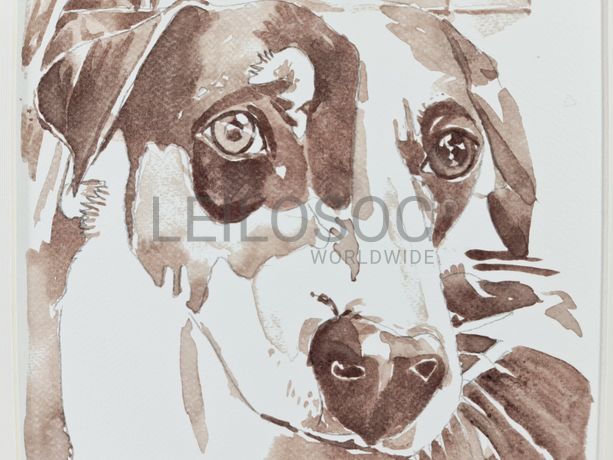 Aguarela · Paulo Violante