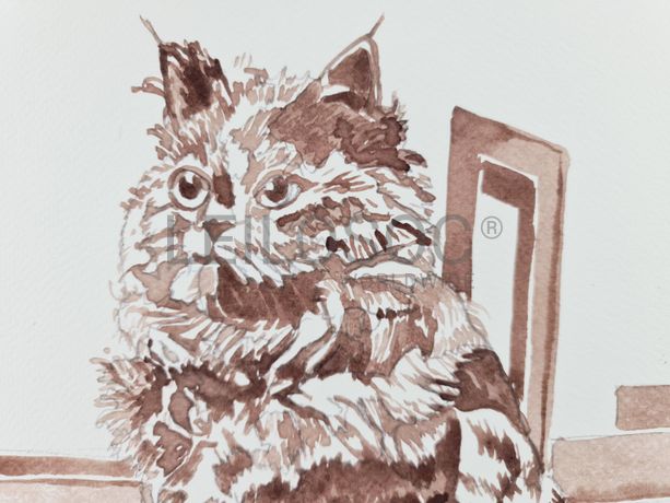 Aguarela · Paulo Violante