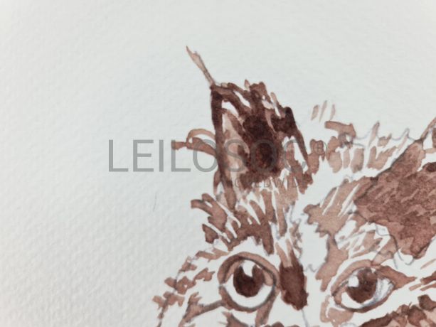 Aguarela · Paulo Violante