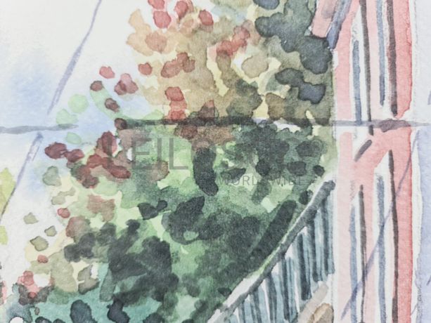 Aguarela · Paulo Violante