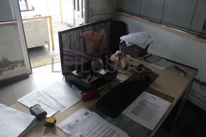 Equipamento de Escritório · Gabinete Médico · Balneário · Diversos