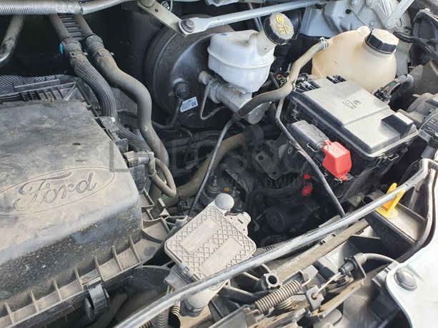 Ford Transit · Ano 2020