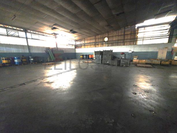 Cestos · Máquina Lavar Chã · Bidões · Máquina