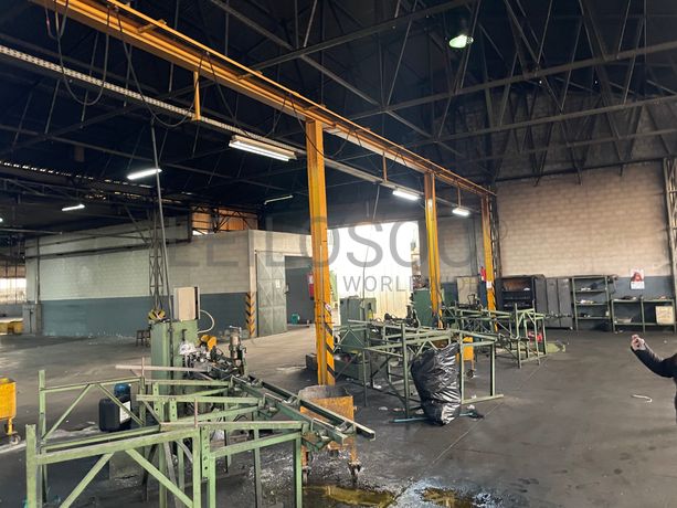 Ponte Rolante Tegopi 2T