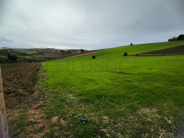 Terreno · Torres Vedras