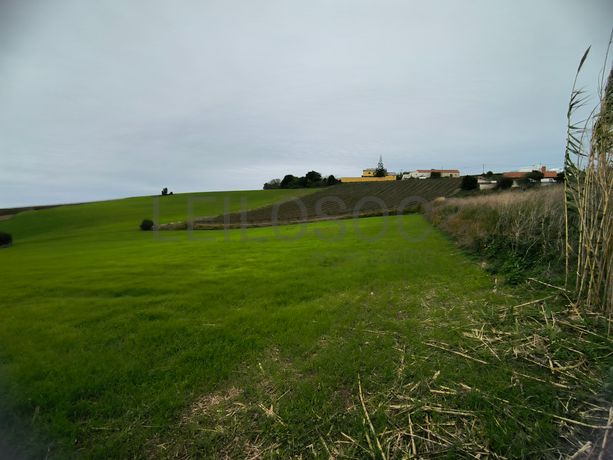 Terreno · Torres Vedras