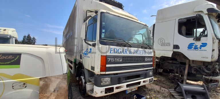 DAF 95CF 290