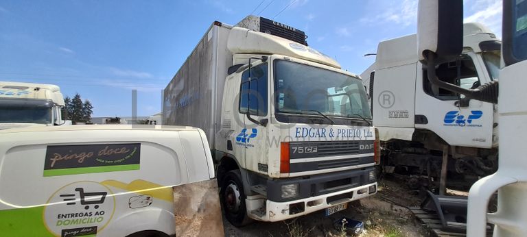 DAF 95CF 290