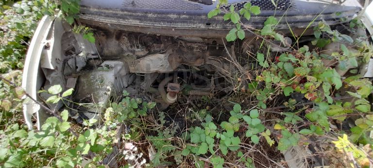 Ford Transit 115 T350