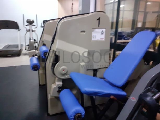 Seated Leg Curl · Leg Extension