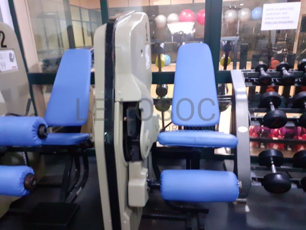 Seated Leg Curl · Leg Extension