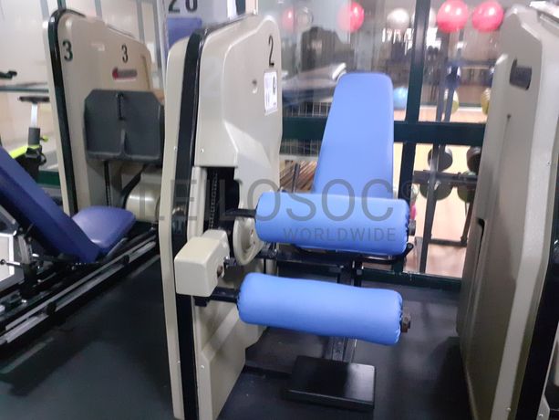 Seated Leg Curl · Leg Extension