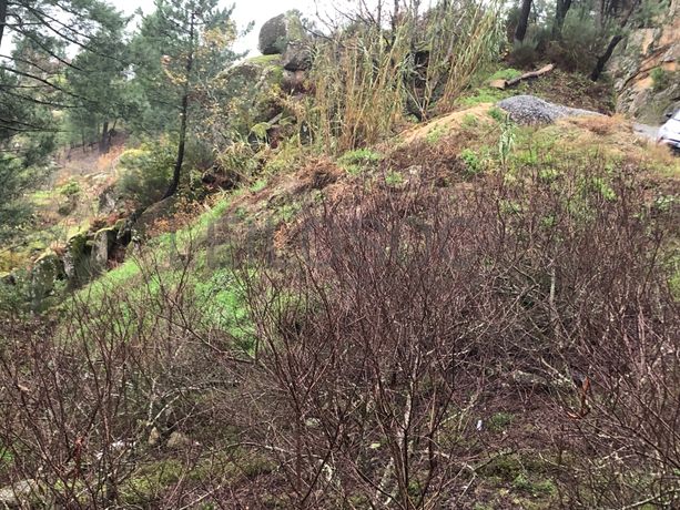 Terreno · Resende, Viseu