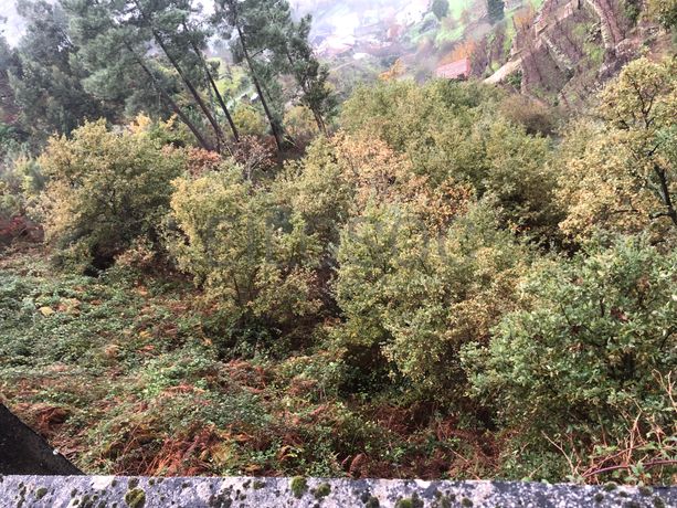 Terreno · Resende, Viseu