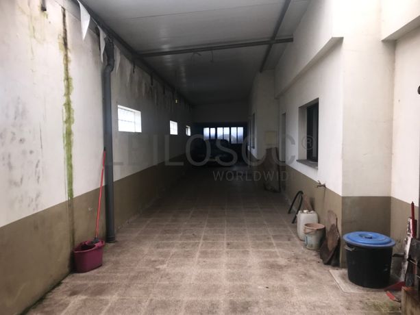 Moradia V3 c/ Terreno · Estarreja