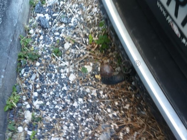 Citroën C4 · Ano 2012