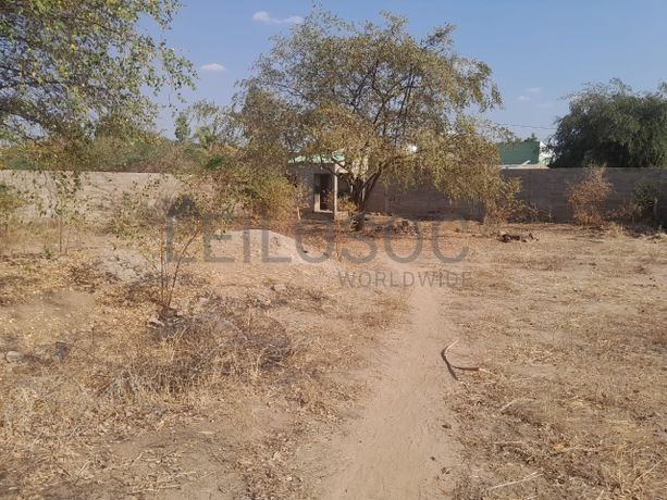 Infraestruturas em terreno no Bairro Canongola - Tete