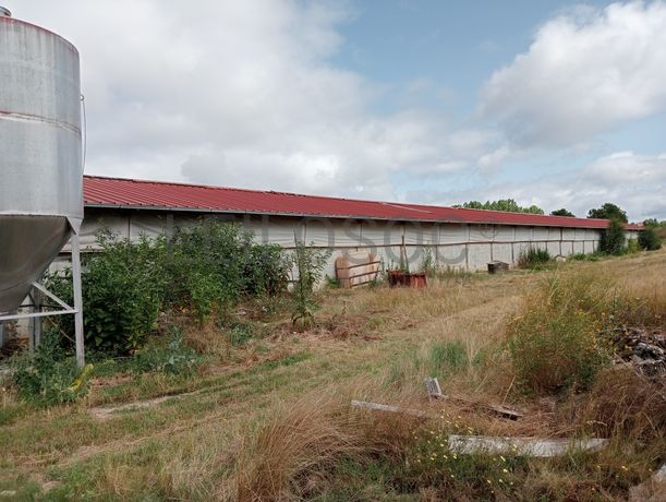 Proporção de 17/20 de Pavilhões para Produção Animal · Terrenos · Vila Pouca de Aguiar