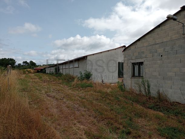 Proporção de 17/20 de Pavilhões para Produção Animal · Terrenos · Vila Pouca de Aguiar