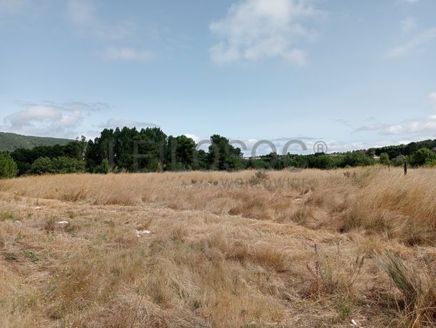 Proporção de 17/20 de Pavilhões para Produção Animal · Terrenos · Vila Pouca de Aguiar