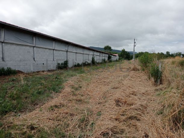 Proporção de 17/20 de Pavilhões para Produção Animal · Terrenos · Vila Pouca de Aguiar