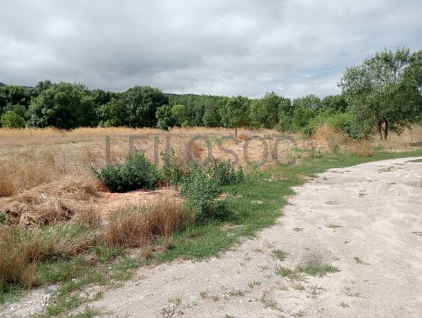 Proporção de 17/20 de Pavilhões para Produção Animal · Terrenos · Vila Pouca de Aguiar