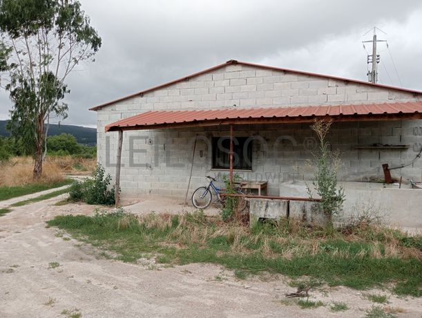 Proporção de 17/20 de Pavilhões para Produção Animal · Terrenos · Vila Pouca de Aguiar