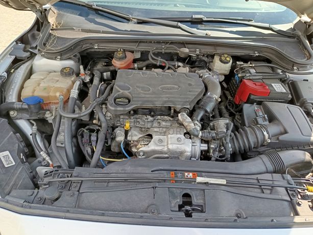 Ford Focus · Ano 2019