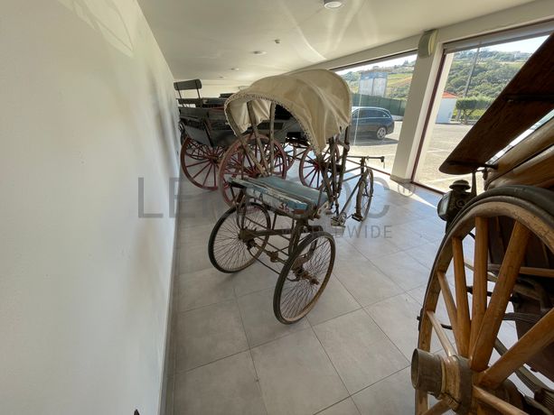 Charrete / Bicicleta